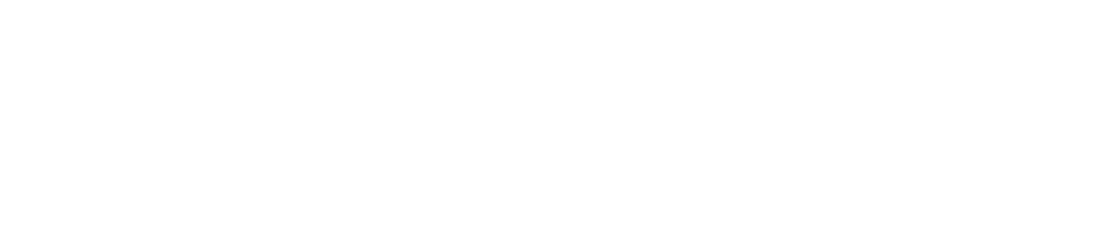 AutoCrypt CSTP Functional Tester